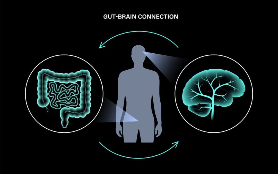 Migraine-Microbiote-intestinal